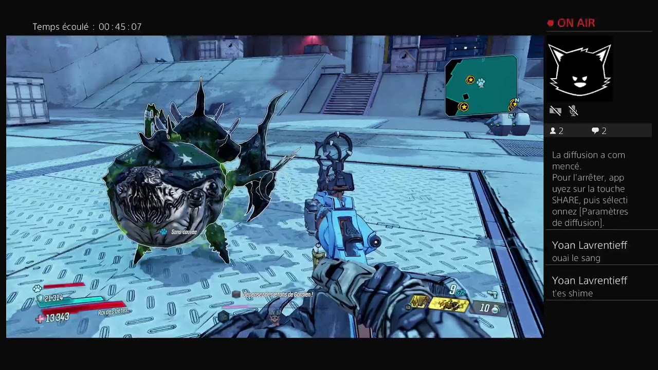 Flak critique maggie chaos 4 Wotan