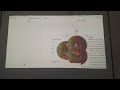 Ms word class 1
