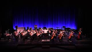 R. Meyer: Dragonhunter | FSYO Overture Strings Orchestra