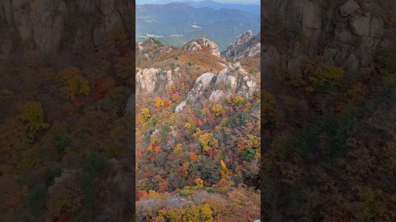 Fall is officially here in South Korea!!!!!