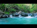 Peaceful River Stream &amp; Forest Sounds for Sleep, Relaxation, Meditation | 12H White Noise