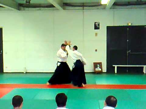 Luc Bouchareu - aikido