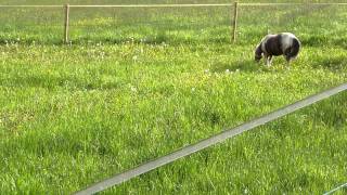 Raffa, Rebellious Teenager