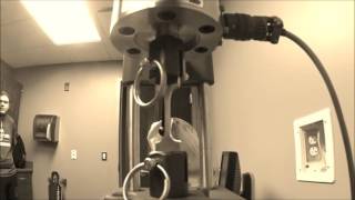 Lab 4 tensile strength and 3 point break test Profile