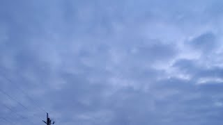 MORNING MEDITATION WAKE AND BAKE STYLE