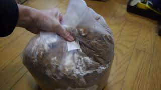 【月夜野】菌糸ブロックをボトルに詰める【ベーシック】