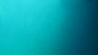 MVI_0619.AVI
