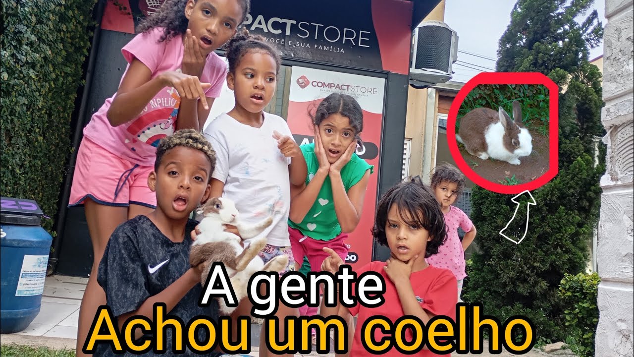 Noah e o Chirs e a Julie achou um coelho na rua e trouxe para casa de gravação 😯😯😱😬😬😬