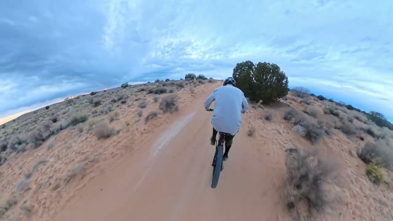 Neighborhood Feb 11 2026