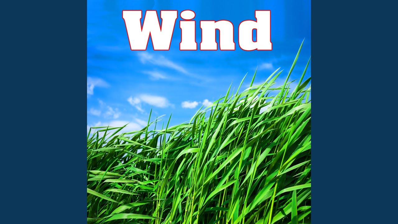 Regardez Peaceful Sustained Shimmering Wind sur YouTube Regardez Peaceful Sustained Shimmering Wind sur YouTube