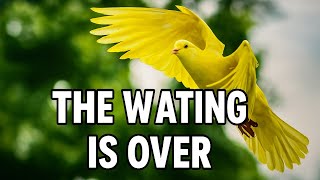 LORD, THE WAITING IS OVER