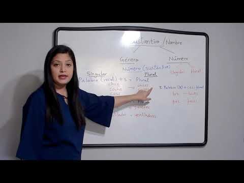 Step 3 : Noun - Number (Hindi)