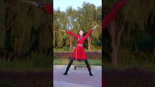 Sa mongolian Dancewalking Horse