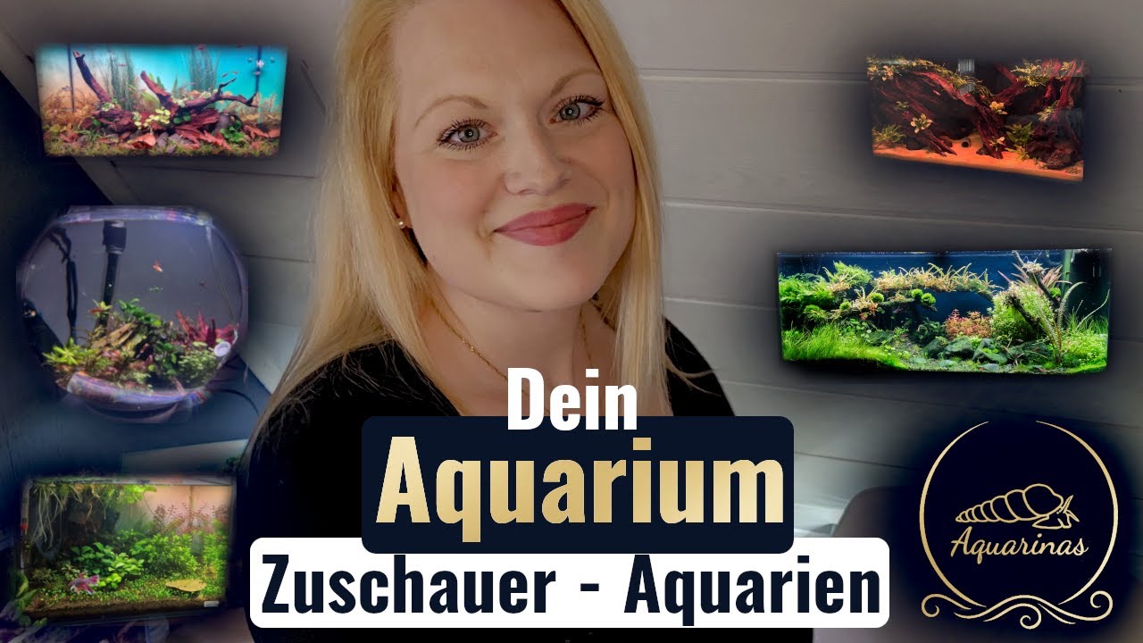 Zuschauer-Aquarien im Check! | So vielseitig ist unsere Community