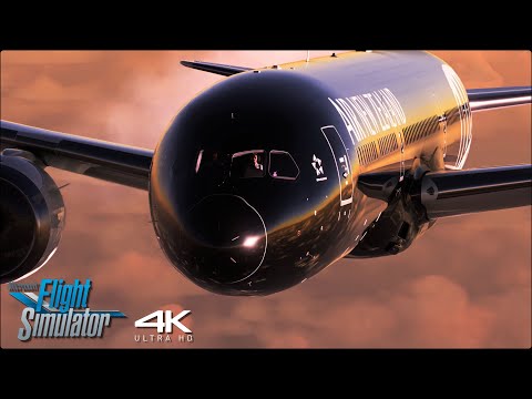 Video: Har Air New Zealand Boeing 737 MAX 8-fly?