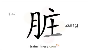 How to write 脏 (zāng) – dirty – stroke order, radical, examples and spoken audio