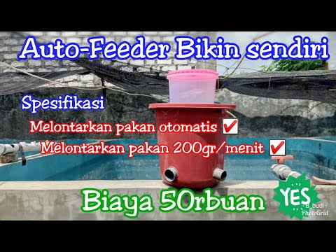 Video: Cara Membuat Feeder Automatik