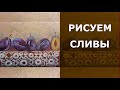 Сливы  (без моих пояснений и комментариев)