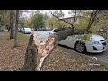 Дерево упало на автомобиль  Перекрыло две полосы на ул  Дыбенко