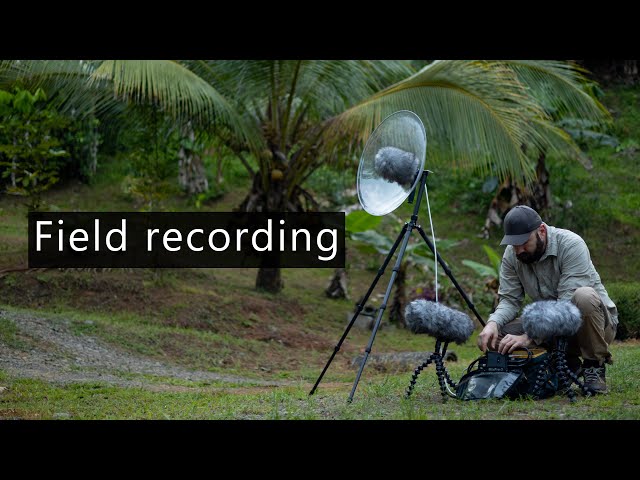 Field recording behind the scenes 34 - Dealing with rain in Costa Rica class=
