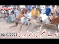 Jung New Kabaddi Match Javeed Jatto Today Kabaddi Match November 10 2025 Pakistani Kabaddi