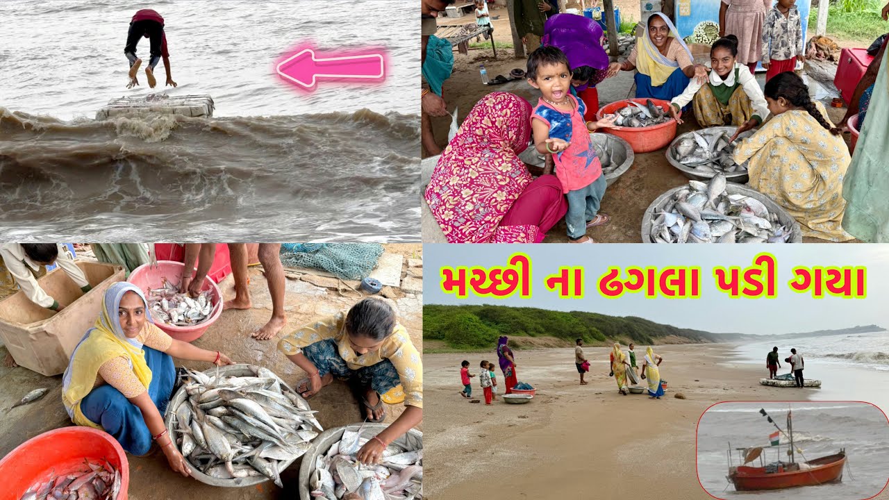 આજે બધાય દીવસ કરતા લાટ મચ્છી લાવ્યા 🐠 boats fishing 🚢 dariyai khedut@desirasoikathiyawadi 