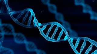 HUJI BITES: DNA Damage and Mutations - How Cells Keep Their DNA Safe
