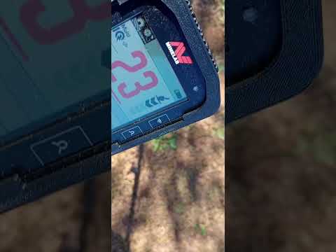 Minelab Manticore AT HC LC & General Demo On Deep Target