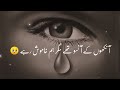 Ankhon Ke Anson They | Sad Poetry Status | Shero Shayari In Urdu/Hindi 2022