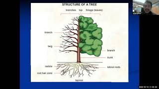 Nursery Tree Selection