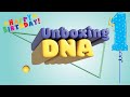 1  unboxing dna