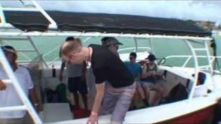 Whale_Shark-Holbox_MX.avi