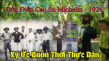 Ảnh xưa về đồn điền Cao su Michelin và khu làng công nhân cao su thời thực dân ở Dầu Tiếng.