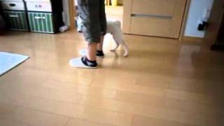 20100626.mp4