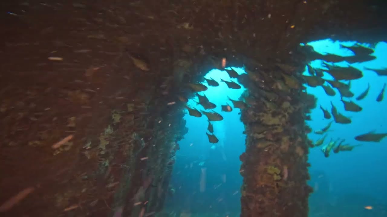The Lena Lies In 18 Meters Of Water Only 3 Nautical Miles From The The Lena Lies In 18 Meters Of Water Only 3 Nautical Miles From The