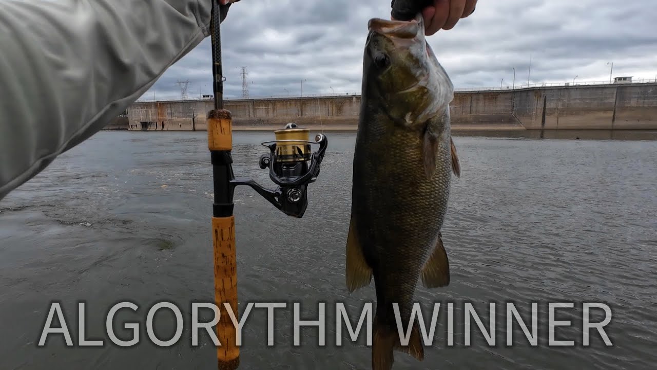 Catching EVERYTHING on ULTRALIGHT!  ( Random Ramble by the Dam )