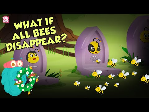 What If All BEES Disappear? | World Without BEES | The Dr Binocs Show | Peekaboo Kidz