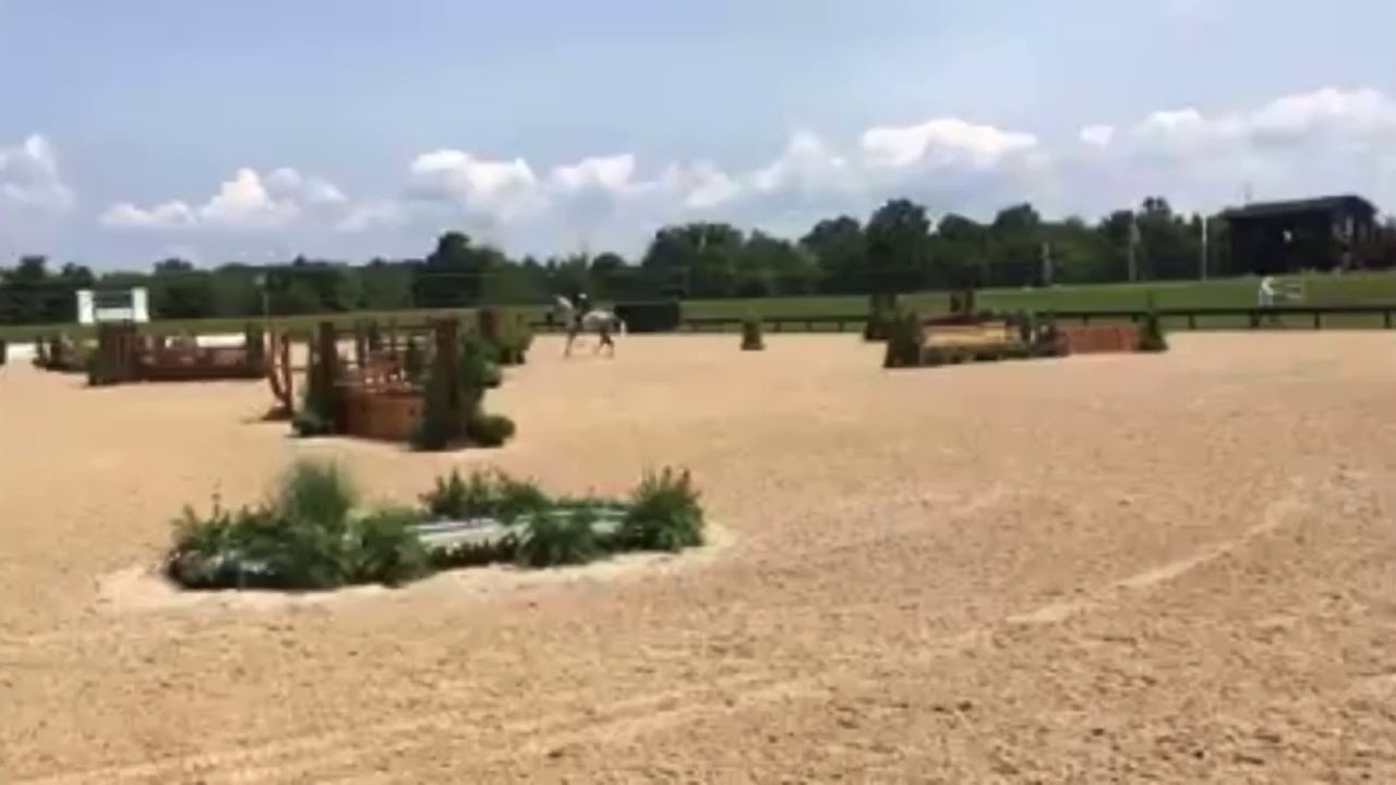 Cheeky Monkey 2 and Brooke Treichler