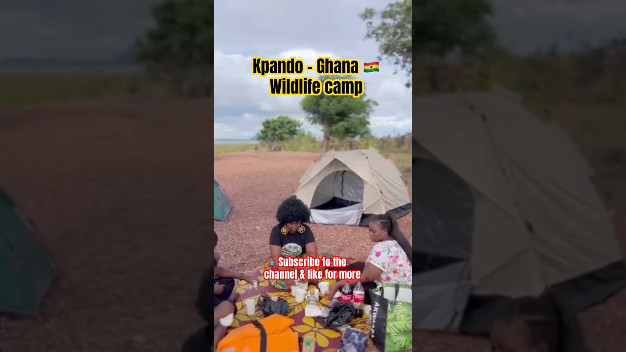 🐘 Wildlife Camp at Kpando Torkor 🇬🇭 