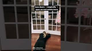 ✨MAGIC✨ Realtor Hack #okc #realestate #soldbysaraya #funny #hack