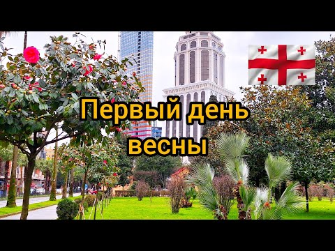 Батуми, утопает в цветах 🇬🇪  Новостройки в солнечных лучах первого дня весны 🇬🇪