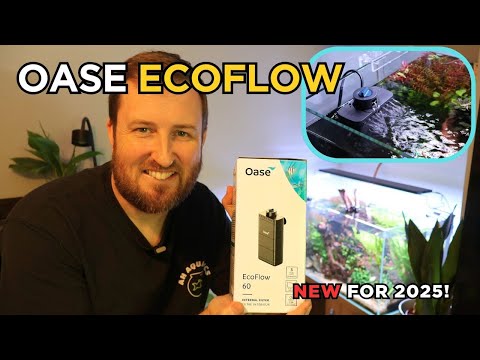 Unboxing and installing the Oase Ecoflow internal filter