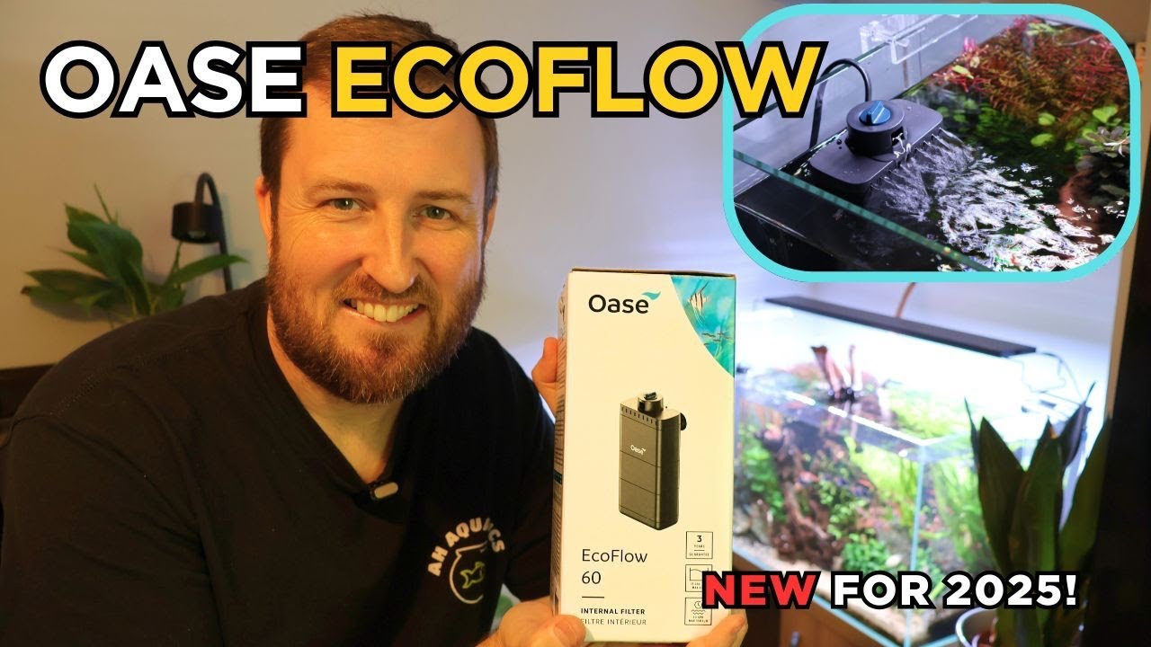 Распаковка и установка внутреннего фильтра Oase Ecoflow!