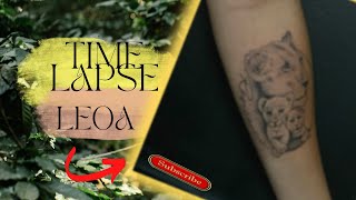 TATUAGEM LEOA COM FILHOTES - RASTELADO - TATTOO TIME LAPSE