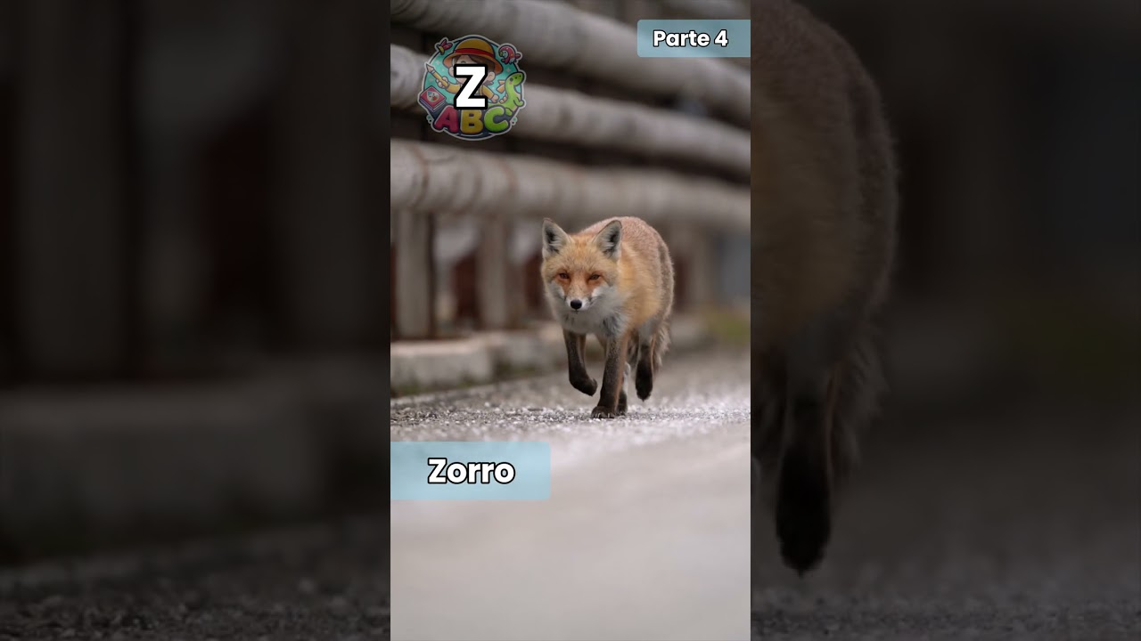 Miniatura de Últimas Letras del ABC 🎶🐺 Letras V a Z