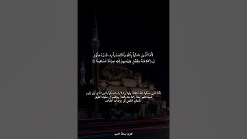 القارئ عبد الله الحميّد | من سورة النساء #تلاوات #تلاوة_خاشعة #قرآن #اكسبلور #explore عبدالله الحميد