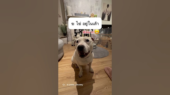 น้องหมาพูดได้ #หมาท่องกอไก่#สัตว์โลกน่ารัก #pets #cute #animals #สัตว์เลี้ยง #doglover #catlover