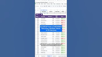 XLOOKUP from a CHECKBOX Returning Multiple Values in 20 Seconds!