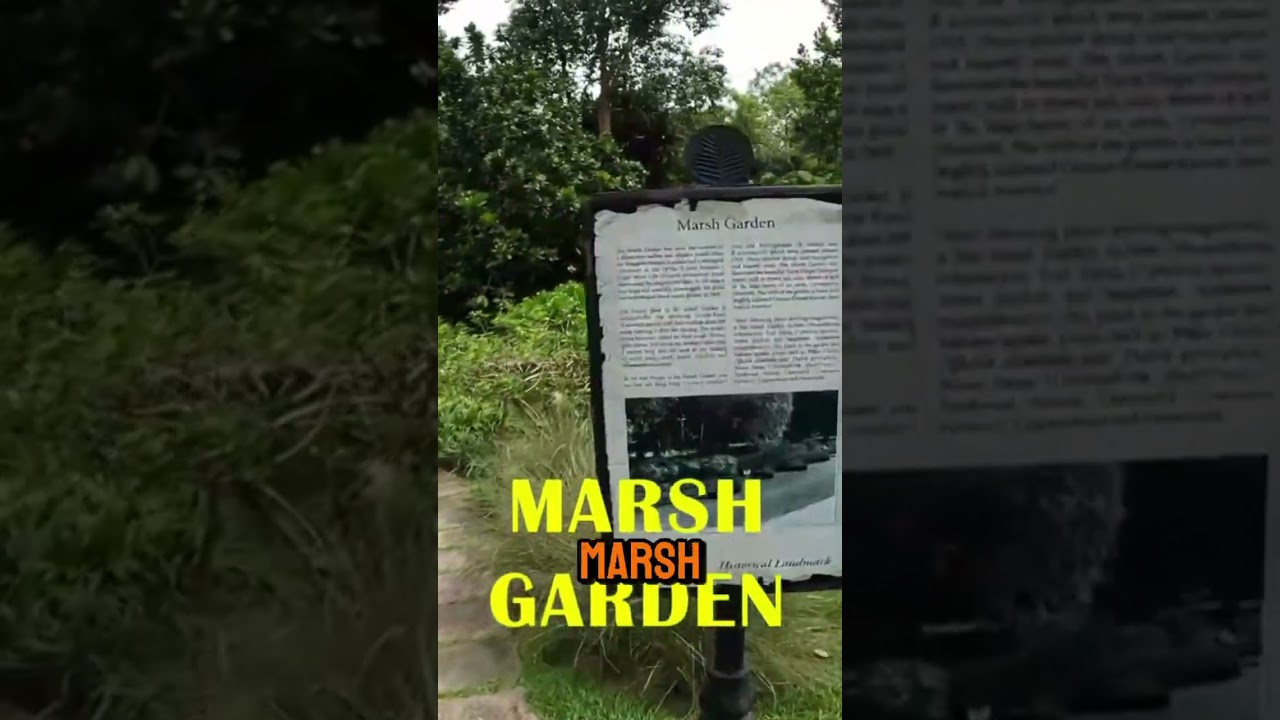 Exploring the Hidden Gem: Singapore's Marsh Garden  