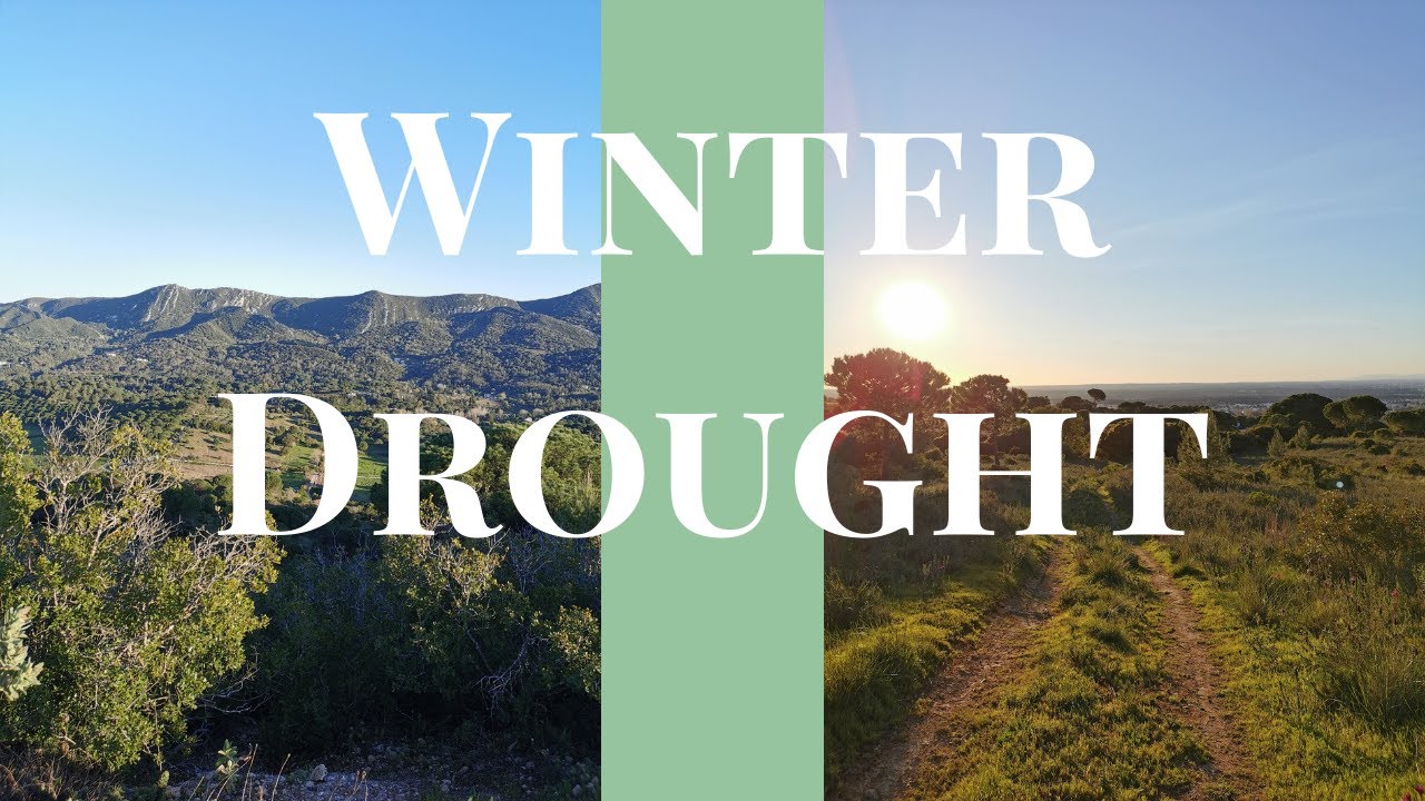 Winter Drought in Portugal
